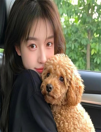 《小丑历险记》评分测评：是否值得花时间观看的深度分析